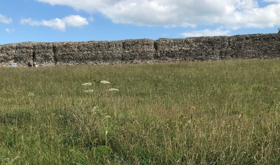 Susan Isaac - Burgh Castle