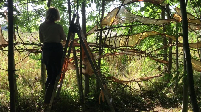 Susan Isaac - Working on The Green Fuse