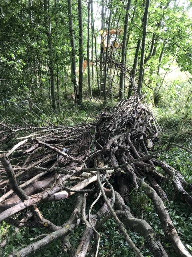 Susan Isaac - Green Fuse end section