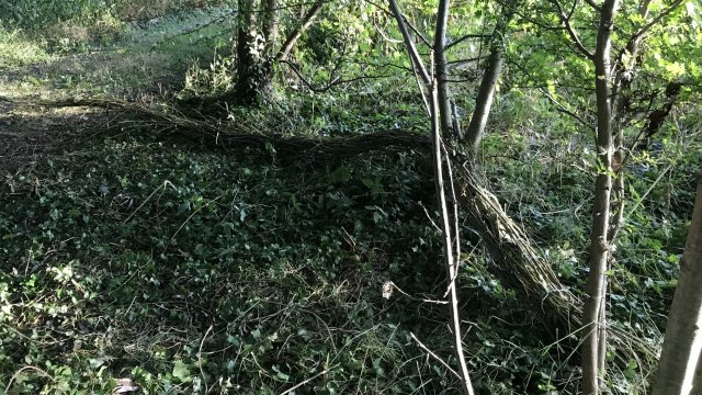 Susan Isaac - Green Fuse section 1