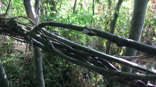 Susan Isaac - Green Fuse section 1