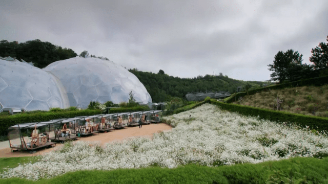 Landscape Artist of the Year_S7_TX4 - Pods